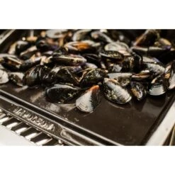 Napoleon Gusseisen-Plancha, Grillplatte -Grillwelt Verkauf Napoleon Gusseisen Plancha Grillplatte@@9ggzzn0s 6