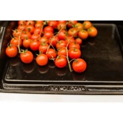 Napoleon Gusseisen-Plancha, Grillplatte -Grillwelt Verkauf Napoleon Gusseisen Plancha Grillplatte@@9ggzzn0s 7