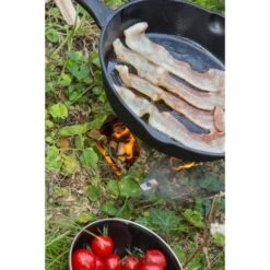 Petromax Feuerpfanne Fp25, Mit Pfannenstiel 6 Petromax Feuerpfanne Fp25, Mit Pfannenstiel -Grillwelt Verkauf Petromax Feuerpfanne fp25 mit Pfannenstiel@@9ggfpp01 4