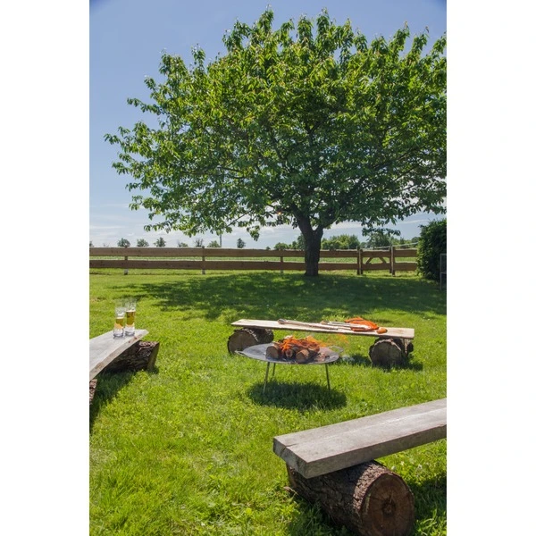 Petromax Grill- Und Feuerschale Fs56, Feuerstelle 11 Petromax Grill- Und Feuerschale Fs56, Feuerstelle - Image 11