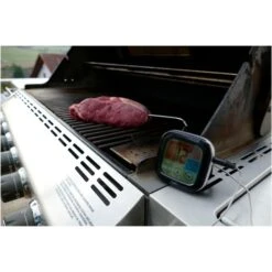 TFA Digitales Grill-Bratenthermometer 14.1509 -Grillwelt Verkauf TFA Digitales Grill Bratenthermometer 14 1509@@1914083 2