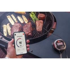 Weber IGrill 2 Mit Zwei Messfühlern 7221, Thermometer -Grillwelt Verkauf Weber iGrill 2 mit zwei Messf hlern 7221 Thermometer@@1303166 10