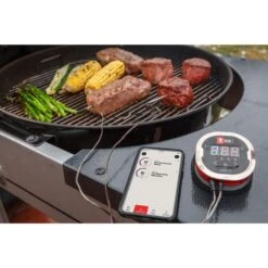 Weber IGrill 2 Mit Zwei Messfühlern 7221, Thermometer -Grillwelt Verkauf Weber iGrill 2 mit zwei Messf hlern 7221 Thermometer@@1303166 8