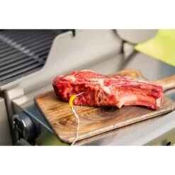 Weber IGrill Pro Messfühler Für Grillgut, Thermometer 28 Weber IGrill Pro Messfühler Für Grillgut, Thermometer -Grillwelt Verkauf Weber iGrill Pro Messf hler f r Grillgut Thermometer@@1303168 8